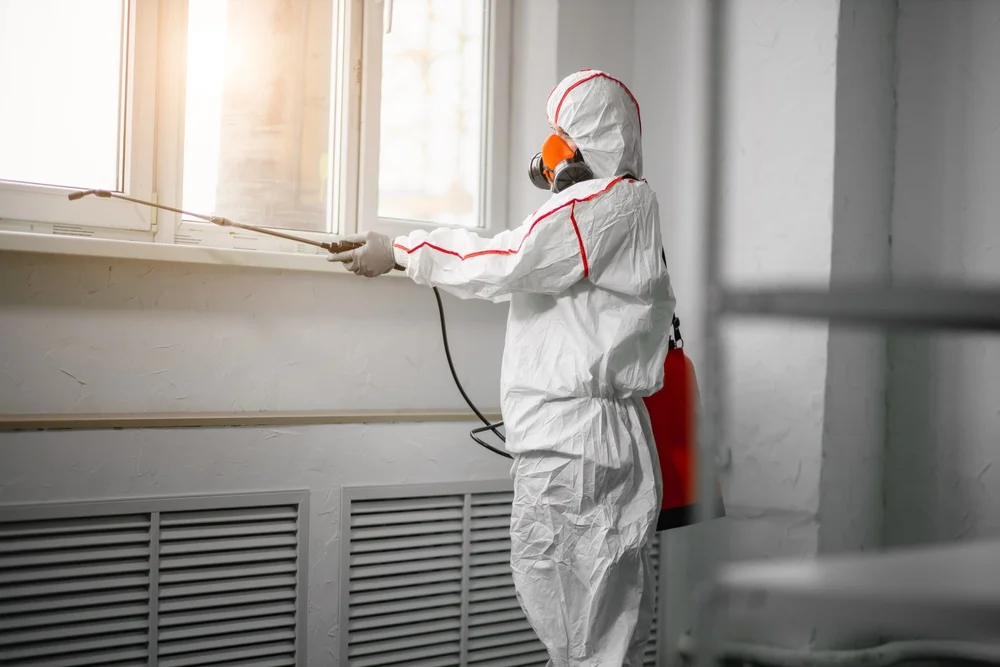 Professional mold remediation services in Sperry, OK